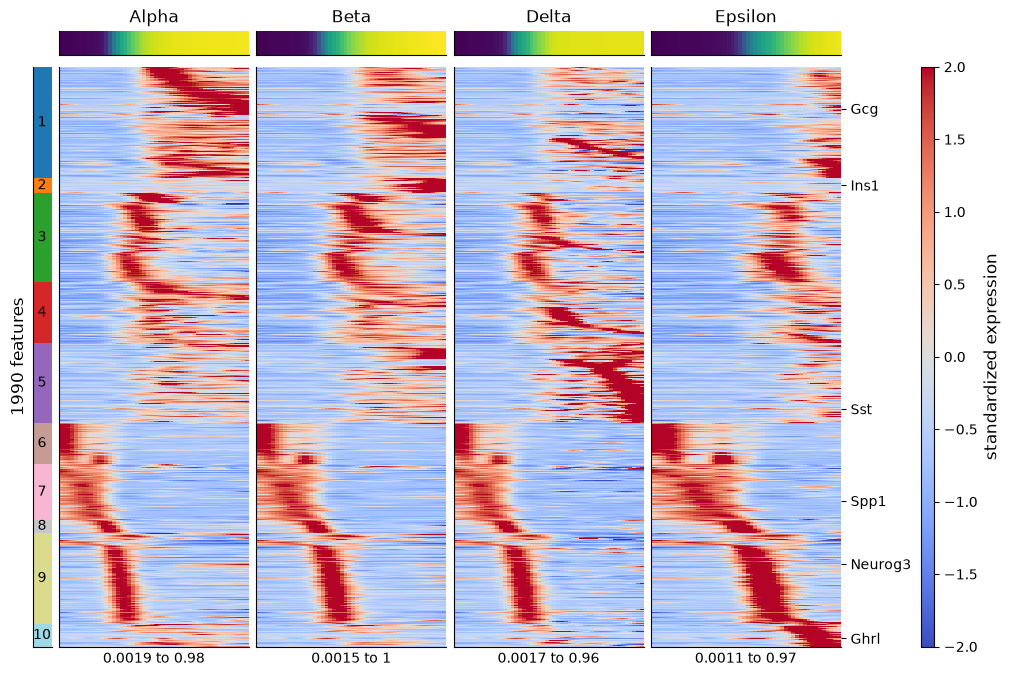 Four side-by-side heatmaps, one per endocrine lineage (Alpha, Beta, Delta, and Epsilon), show 1990 highly variable genes in ten modules across equal-weight bins from the shared start to each endpoint, scaled per gene across the lineages. The module with Spp1 peaks at the start of every panel and the module with Neurog3 partway along it, while the modules holding Gcg, Ins1, Sst, and Ghrl rise late on the Alpha, Beta, Delta, and Epsilon panels. A strip above each panel shows the bins' mean pseudotime levelling off near the endpoint.
