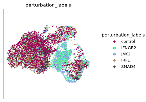 UMAP of the cells labelled control, IFNGR2, JAK2, IRF1 and SMAD4; IFNGR2 and JAK2 cells gather in one region.