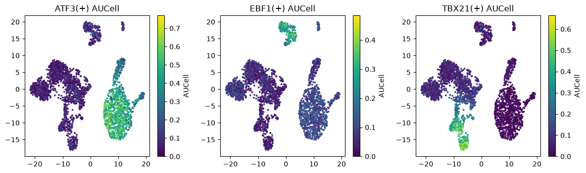 Three PBMC UMAP panels show AUCell scores of the ATF3, EBF1, and TBX21 regulons, which are highest in the monocyte, B-cell, and NK-cell clusters respectively.
