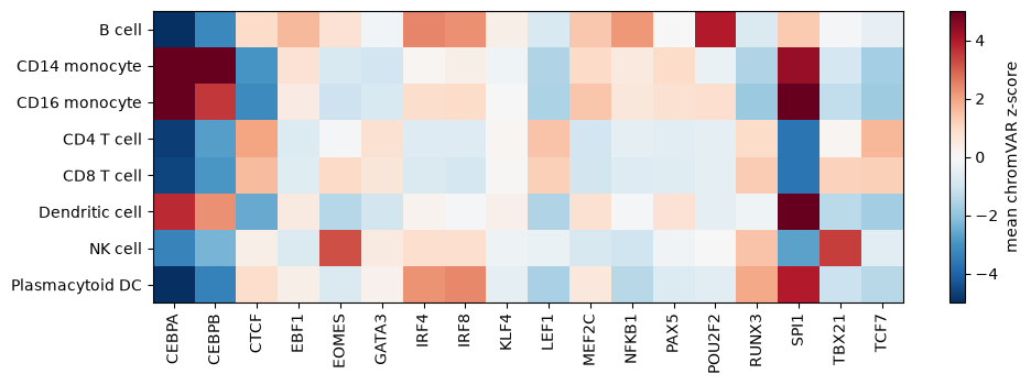 Heatmap of mean chromVAR z-scores, from -5 in blue to 5 in red, of 18 factors' motif peaks in eight PBMC populations. CEBPA, CEBPB, and SPI1 are high in monocytes and dendritic cells, POU2F2 in B cells, IRF4 and IRF8 in B cells and plasmacytoid DCs, TBX21 and EOMES in NK cells, and TCF7 and LEF1 in T cells.