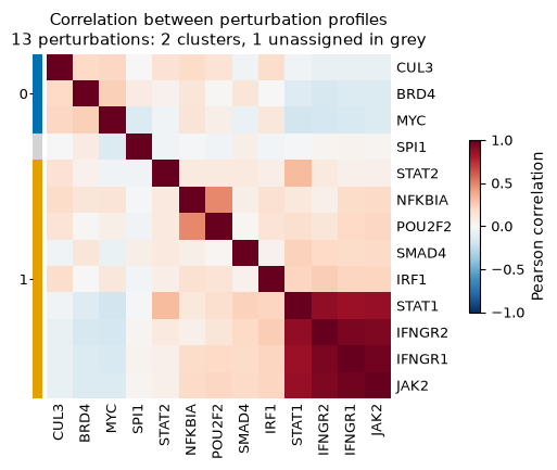 Heatmap of the correlations between the profiles of 13 targets in leaf order, with a bar marking each target's cluster.