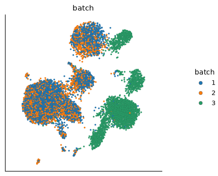 Uncorrected PBMC UMAP colored by three sequencing batches. Batch 3 occupies several regions separated from batches 1 and 2.