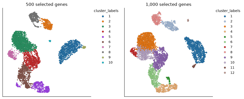 UMAPs compare analyses using 500 and 1,000 selected genes, each colored by its own cluster labels. The layouts and partitions differ, so cluster numbers are not directly interchangeable.