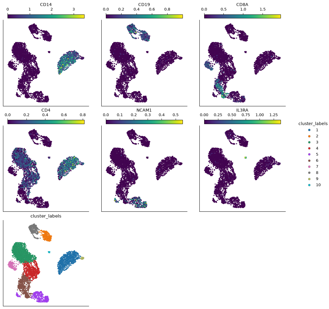 PBMC UMAP panels show CD14, CD19, CD8A, CD4, NCAM1, and IL3RA expression beside cluster labels. Different marker patterns locate candidate monocyte, B-cell, T-cell, NK-cell, and pDC-like populations.
