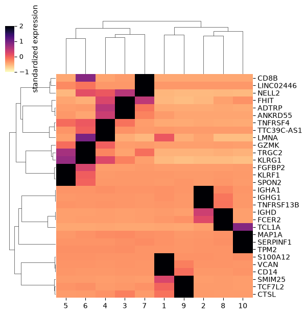 Heatmap of the three leading marker genes per PBMC cluster, with genes in rows and clusters in columns. Standardized expression and hierarchical ordering highlight distinct marker patterns across clusters.