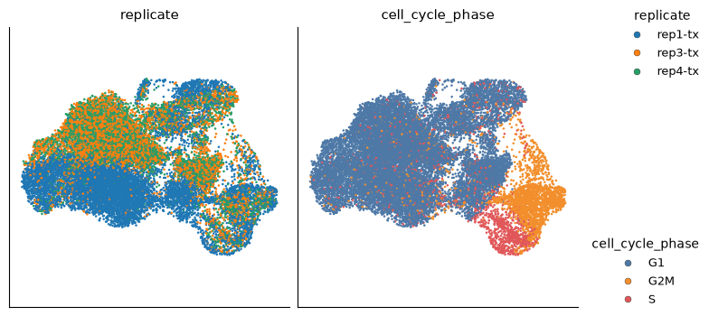 Two UMAP panels of 20,729 THP-1 cells, colored by replicate and by cell-cycle phase.